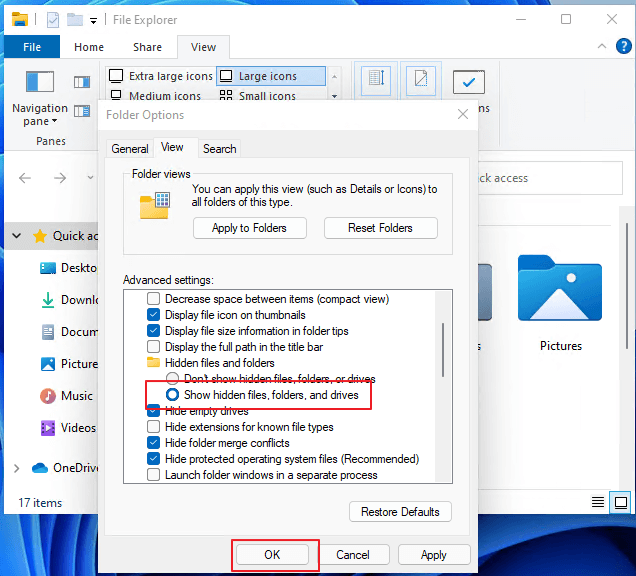 Show hidden items in File Explorer