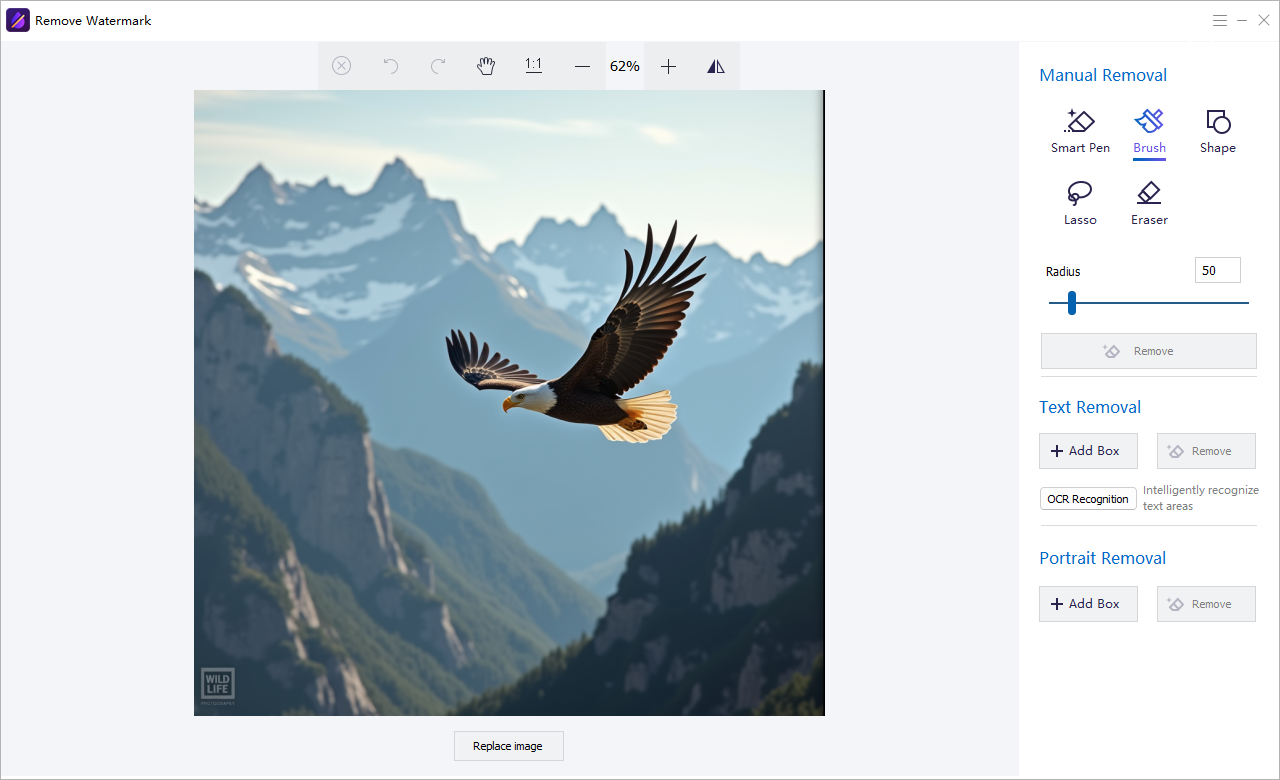 Manual image watermark removal workspace