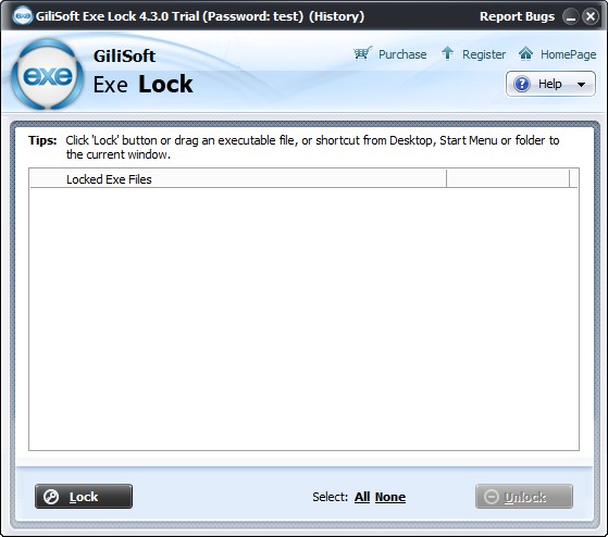 GiliSoft Exe Lock screenshot